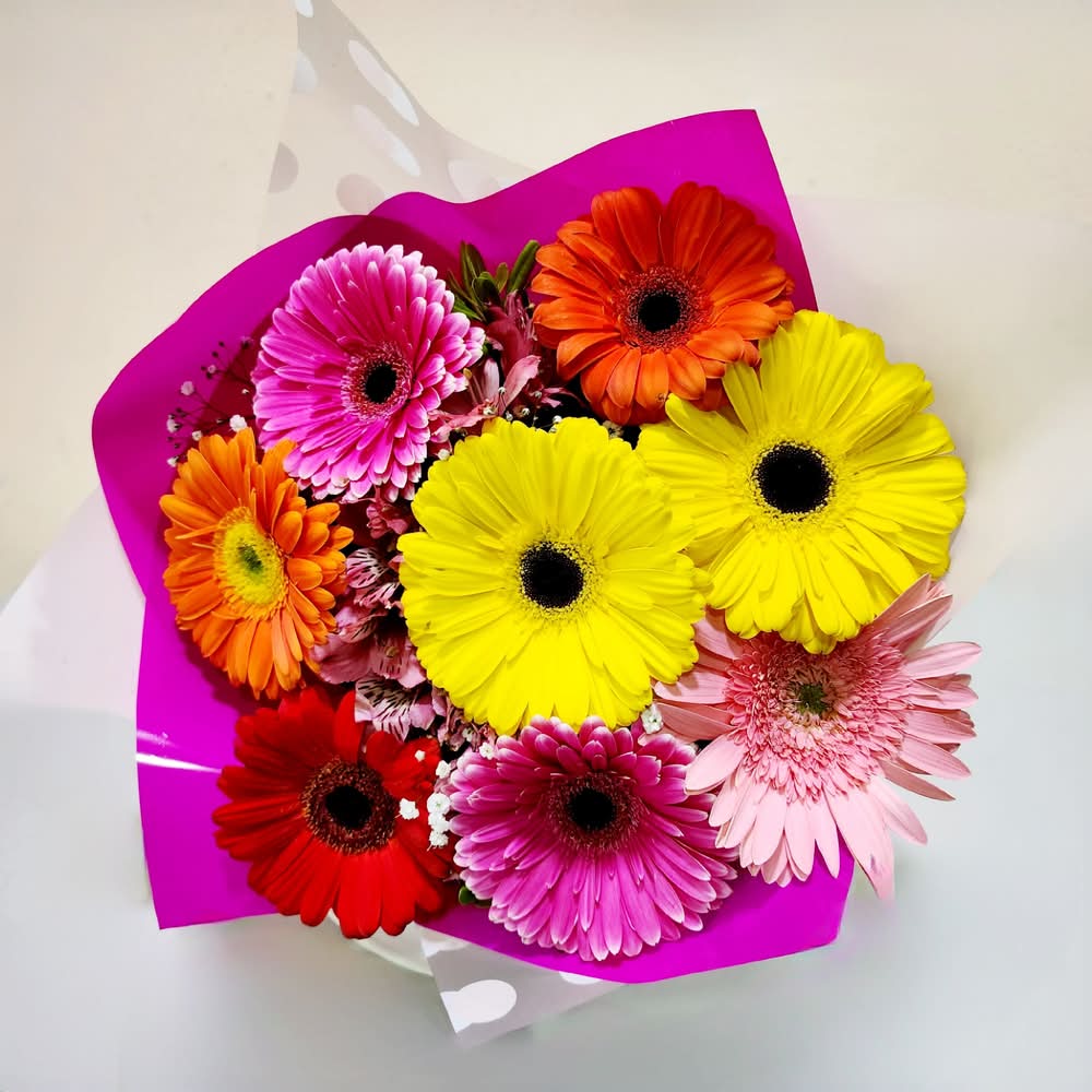Ramo de 8 gerberas de colores envueltas en doble papel de color.