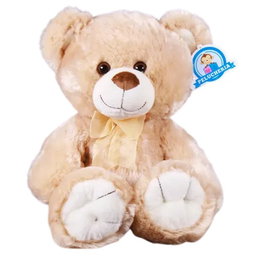 Regalos Adicionales