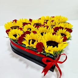 Girasoles