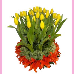Arreglo de tulipanes amarillos en base de madera