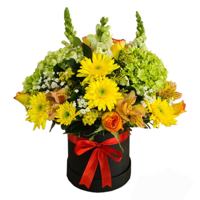 🌼 Flor Margarita Amarilla | Caja de Flores Amarillas_0