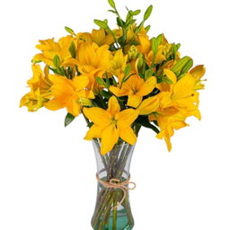 🌼 Lilium Amarilla | Florero con 10 Lilis Frescas