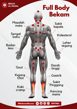 Bekam Full Body