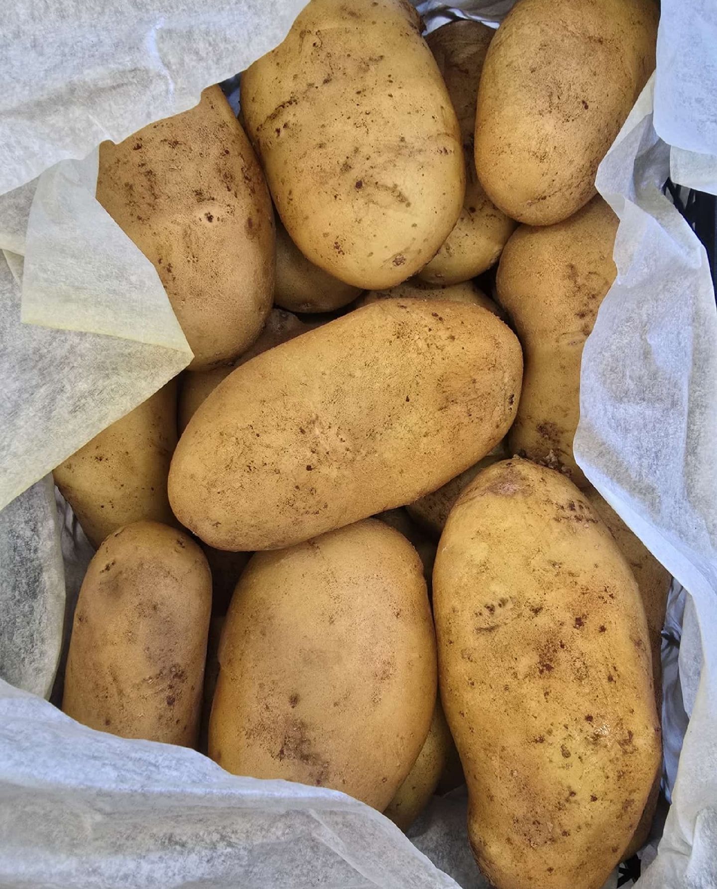 بطاطا مالحة | kartoffel Salz | 1Kg