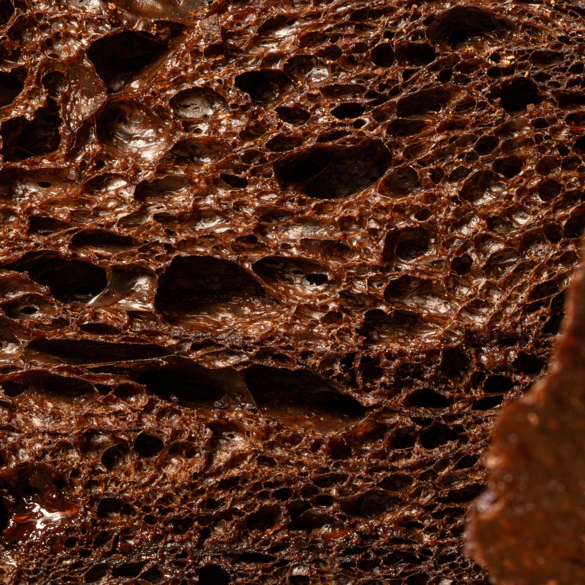 Double Chocolate Espresso Sourdough_1
