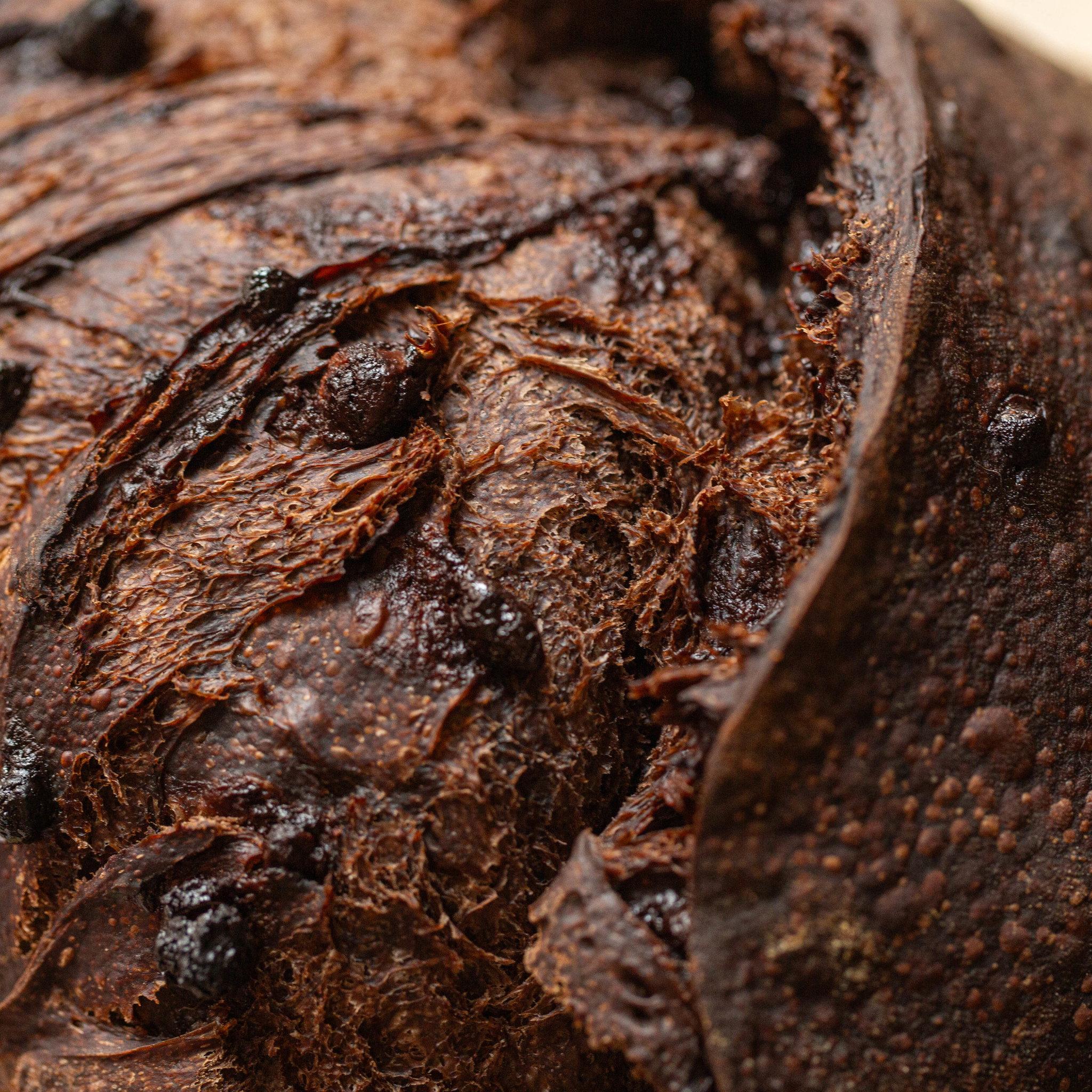 Double Chocolate Espresso Sourdough_2