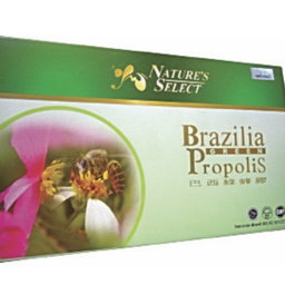 Oasis Brazilia Propolis 巴西绿蜂胶 6 ml x 5 Btl