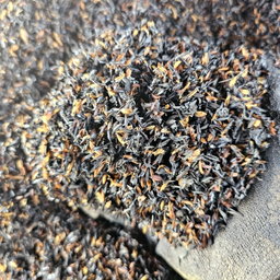 Rice Husk Charcoal (කරදහයියා)
