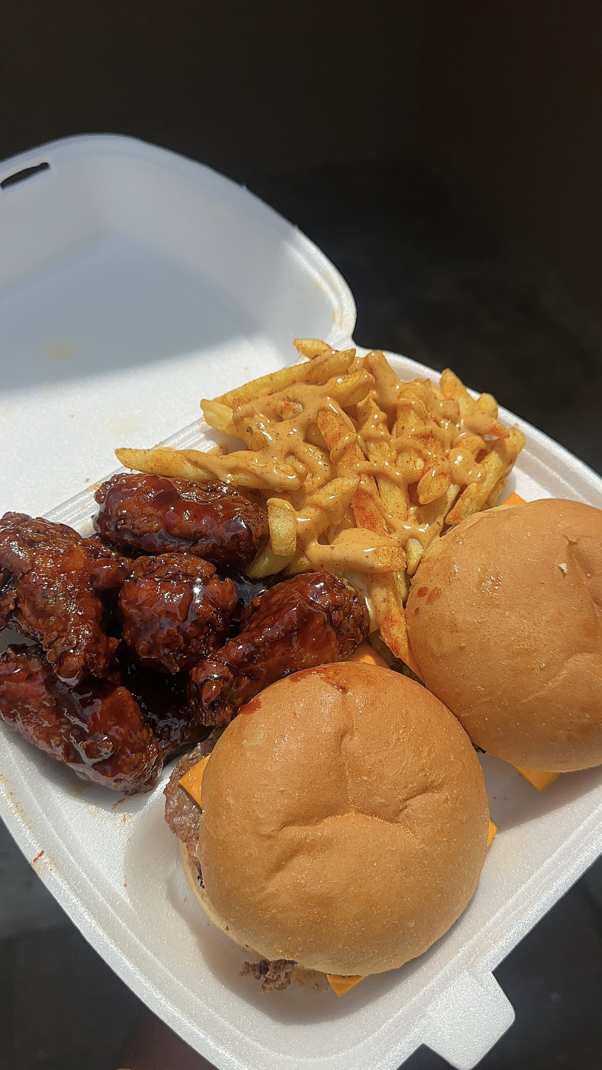Regular platter+Ten dunked wings _1