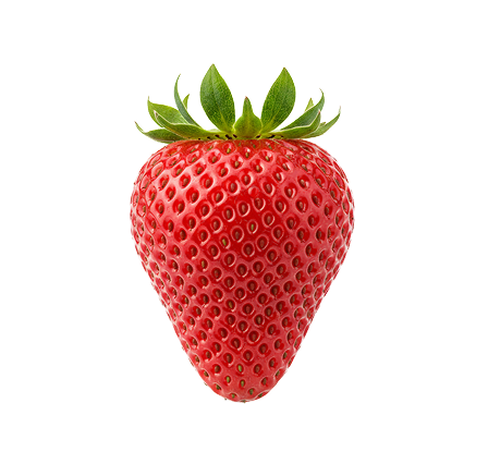 Best Quality Hybrid Strawberry