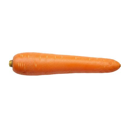Farm Fresh Carrot