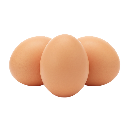 Large Fresh Eggs from Free-Roaming Hens