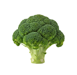 Fresh Broccoli