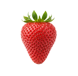 Best Quality Hybrid Strawberry
