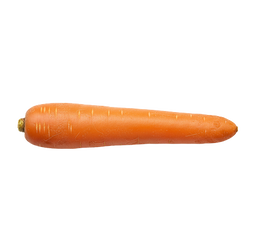 Farm Fresh Carrot