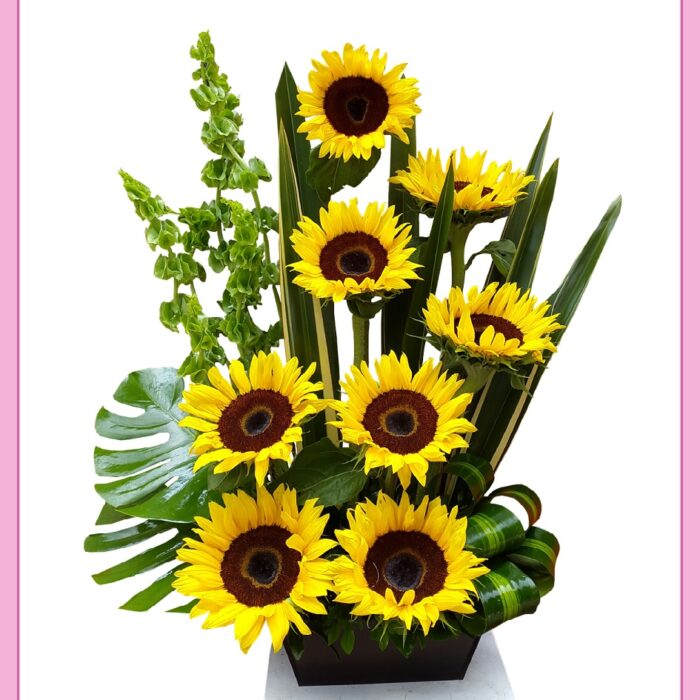 Arreglo de girasoles 8 piezas_0