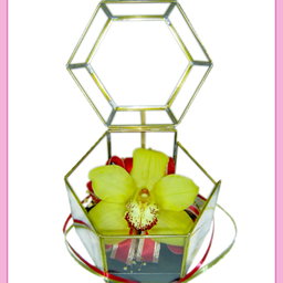 Arreglo floral de orquídea cimbidium 1 pieza