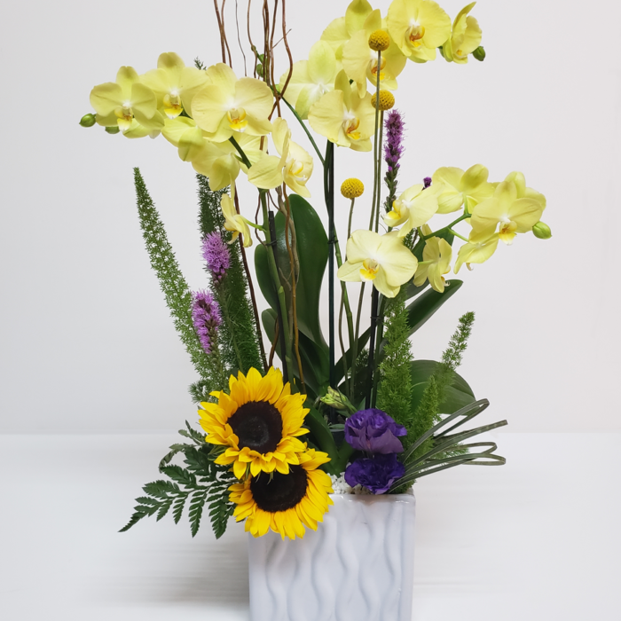 Arreglo de orquídeas amarillas en caja 3 piezas