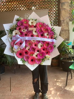 Maxi 50 gerberas con listón 