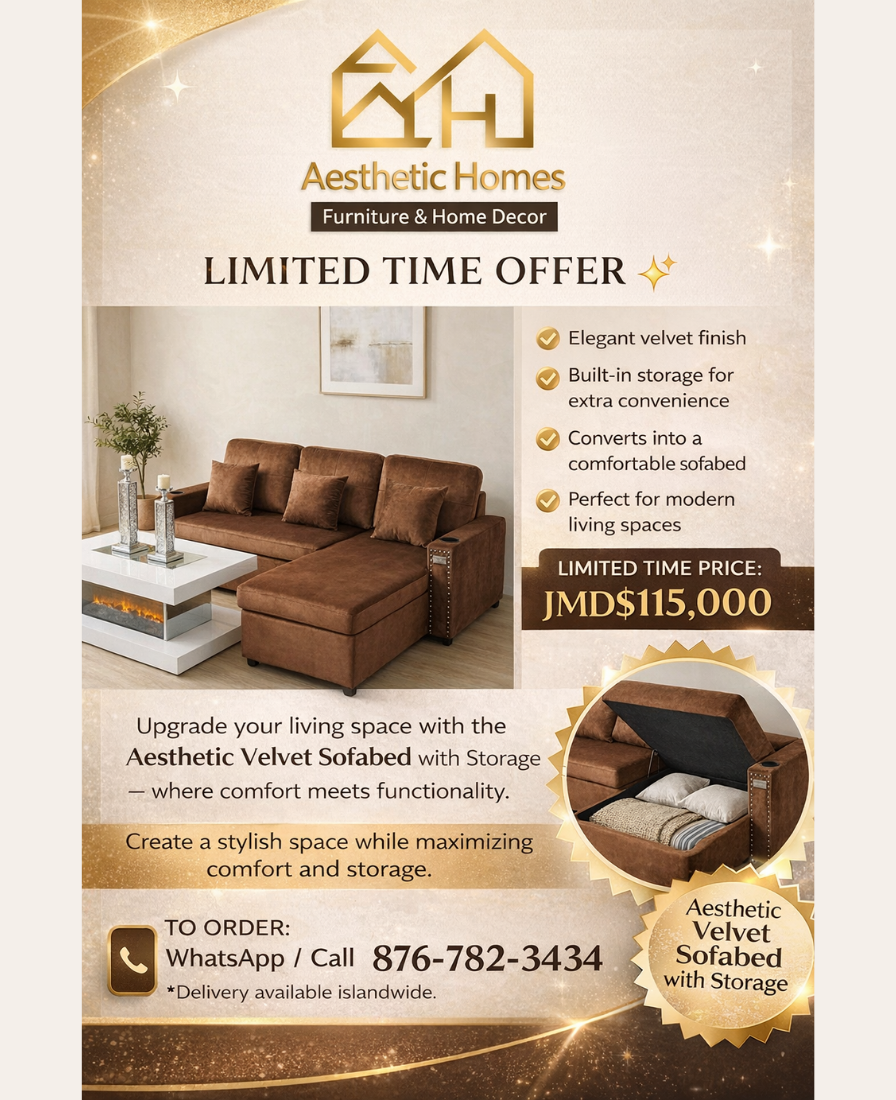 Aesthetic Velvet Sofa Bed + Extra Storage _3