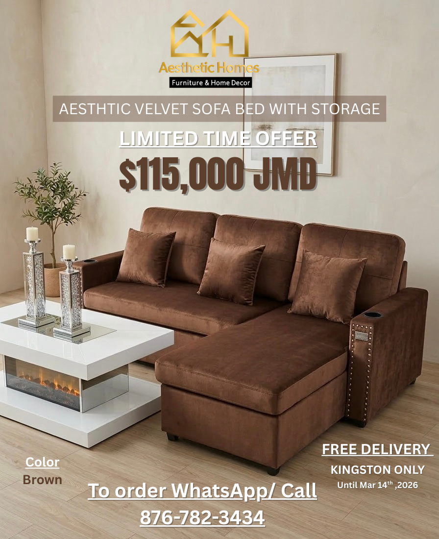 Aesthetic Velvet Sofa Bed + Extra Storage _2