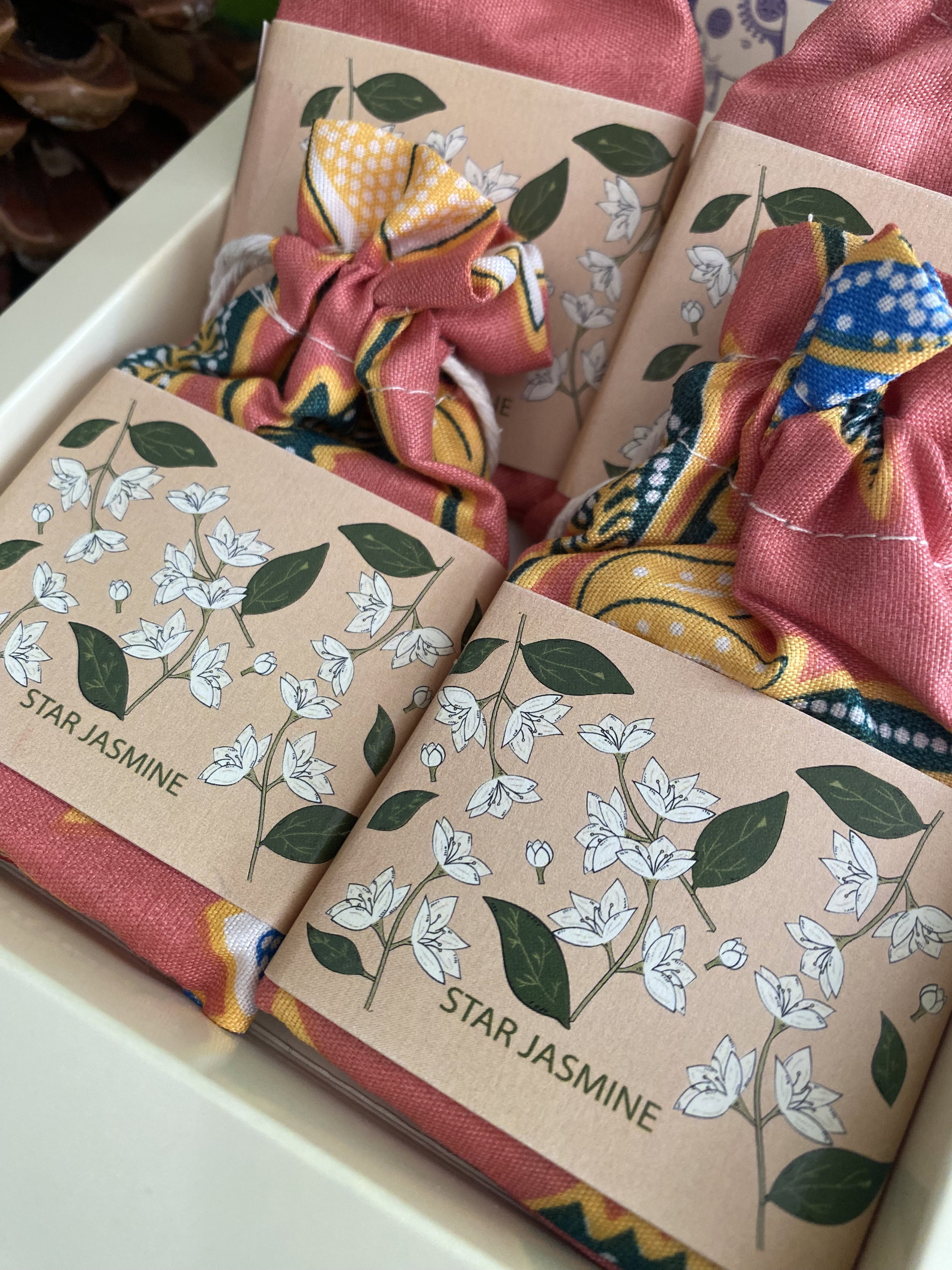 Star Jasmine_1