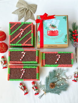 🎄ʜᴀᴍᴘᴇʀs ᴄʜʀɪsᴛᴍᴀs ʏᴇᴀʀ 𝟸𝟶𝟸𝟷-𝟸𝟶𝟸𝟻🎄