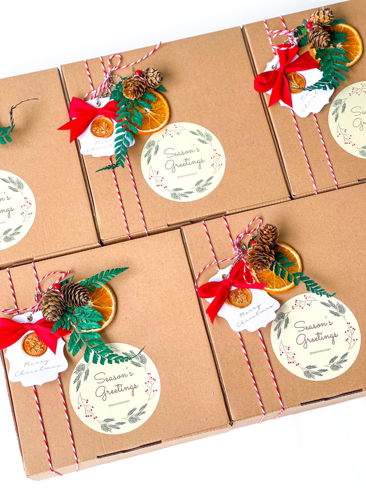 🎄ʜᴀᴍᴘᴇʀs ᴄʜʀɪsᴛᴍᴀs ʏᴇᴀʀ 𝟸𝟶𝟸𝟷-𝟸𝟶𝟸𝟻🎄_1