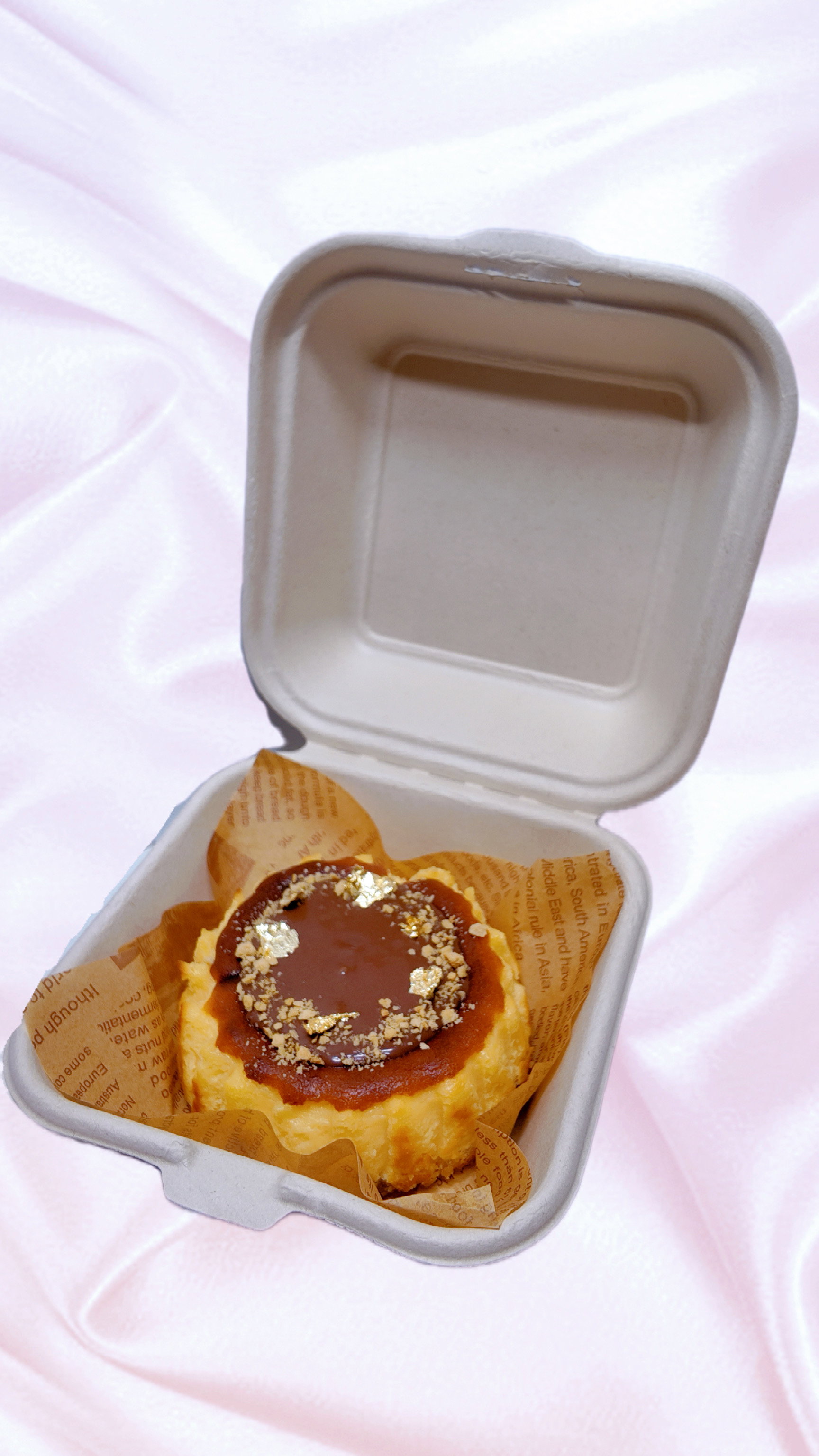 Nutella Bento Burnt Basque Cheesecake 4 Inch _1