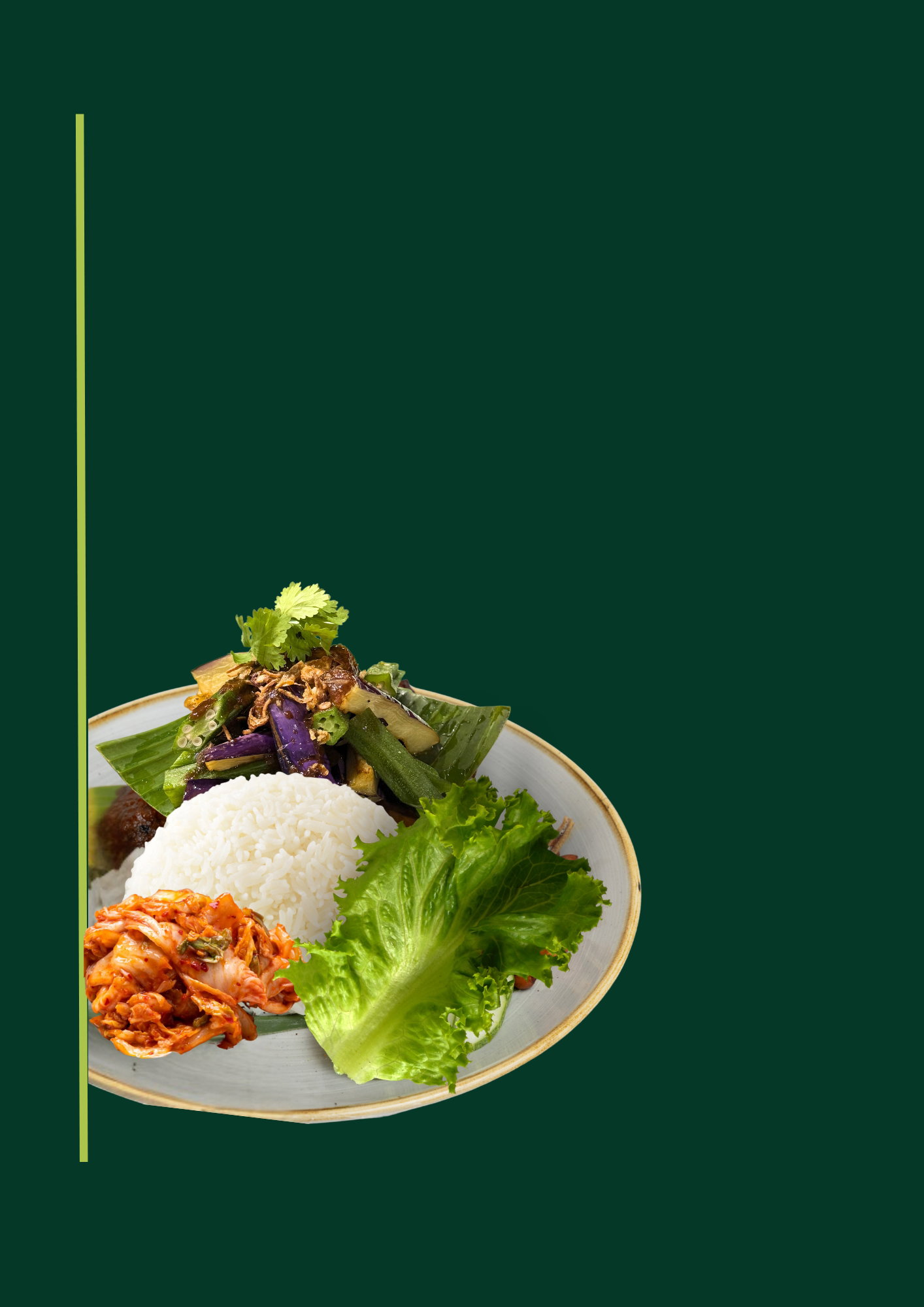 Sauteed Garlic Eggplant & Lady's Finger with Achar Awak_0