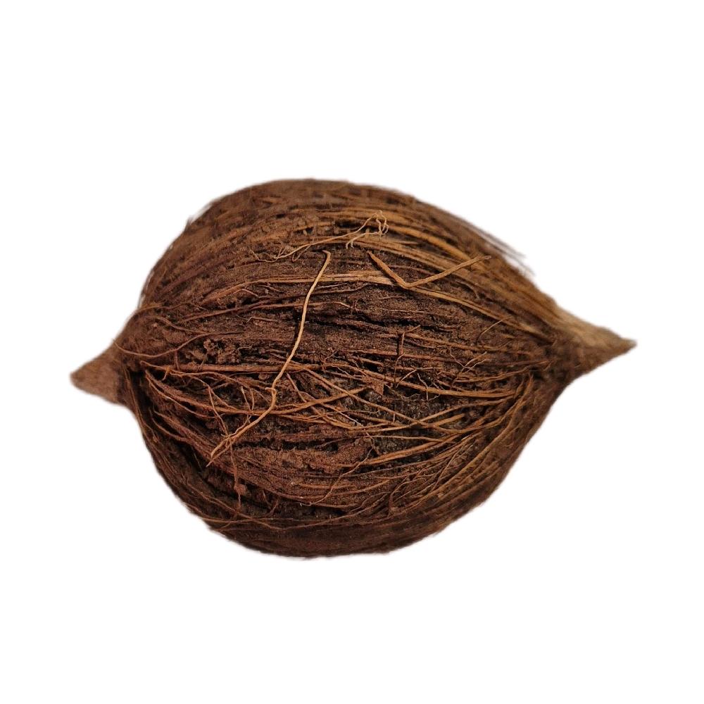 GMS 1 Kann Coconut / Laghu Nariyal_3