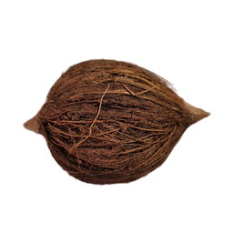 GMS 1 Kann Coconut / Laghu Nariyal