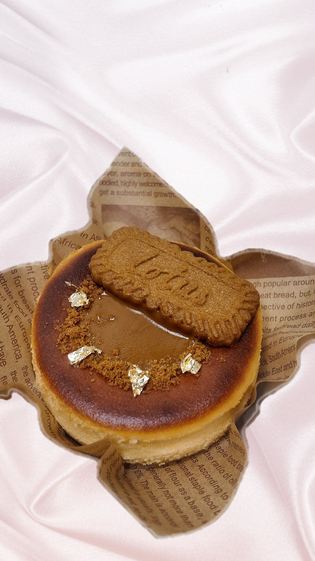 Biscoff Bento Burnt Basque Cheesecake 4 Inch