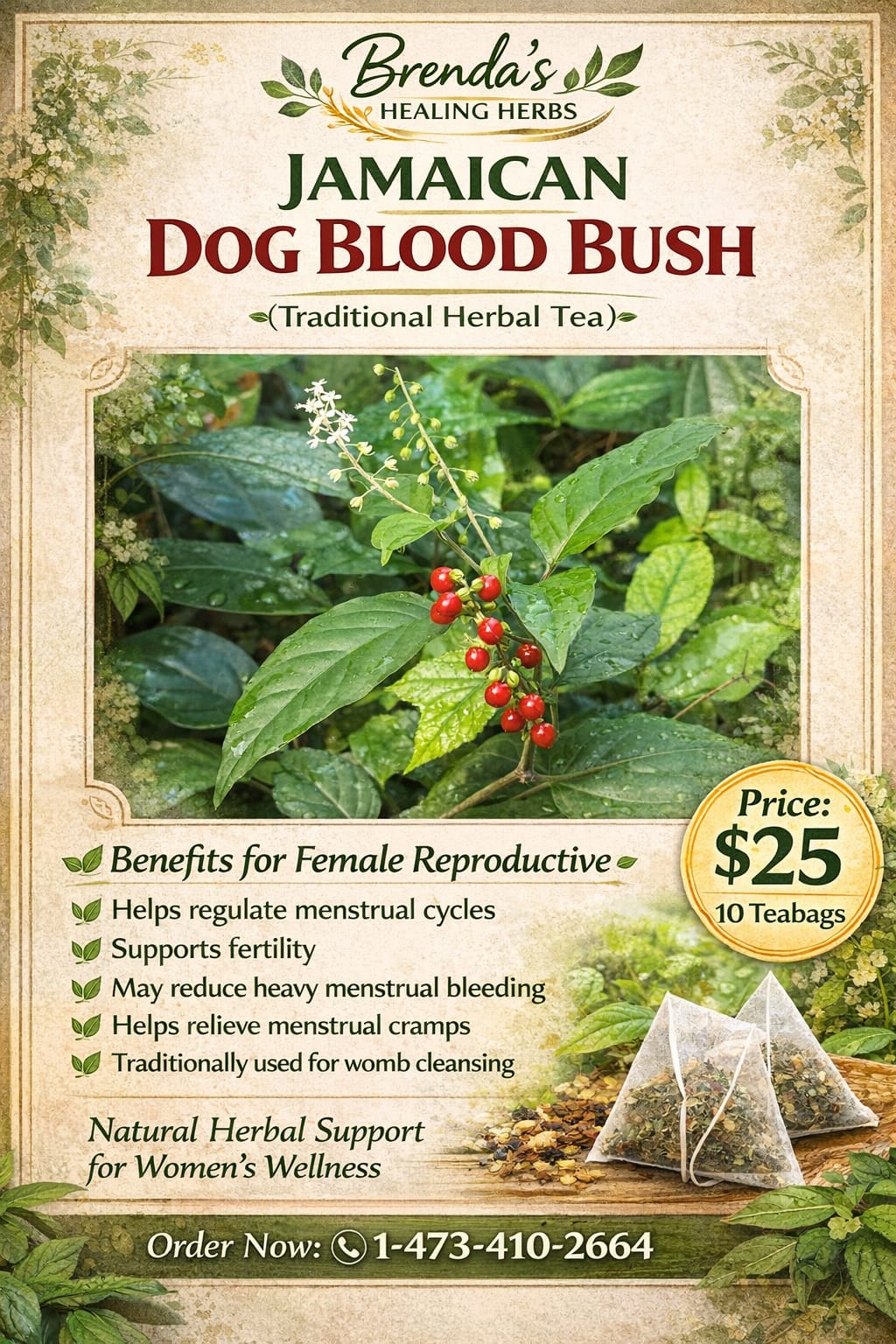 Jamaican Dog Blood Bush Herbal Tea_0