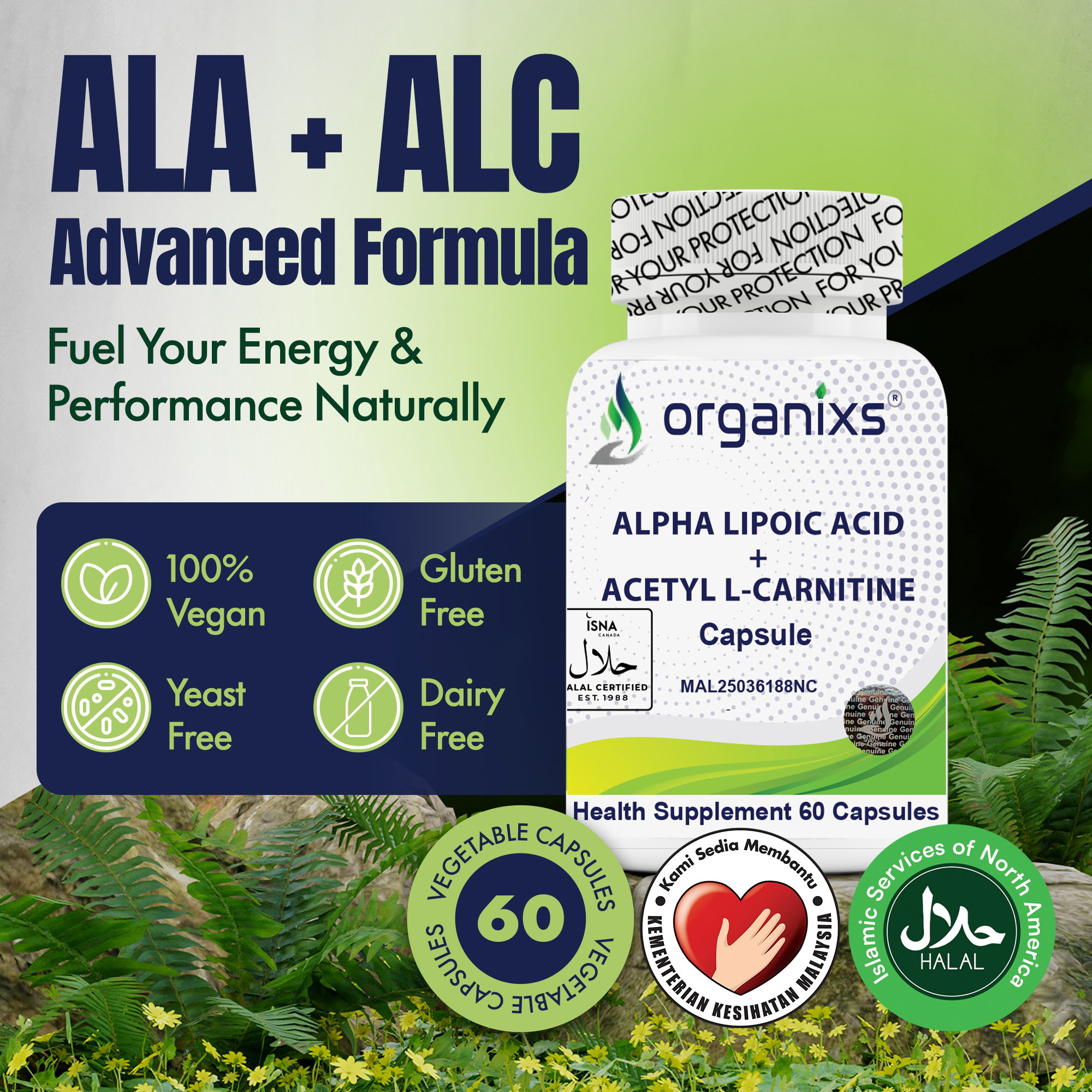 [CND] Organixs Alpha Lipoic Acid 225mg + Acetyl L-Carnitine 525mg (ALCAR) Brain Health Supplement | Halal | Plant-Based | 60 Capsules_1