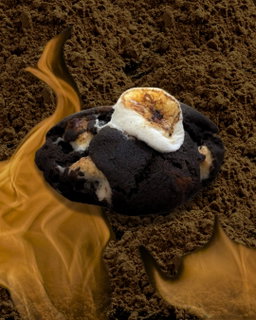 Hot Cocoa Cookies