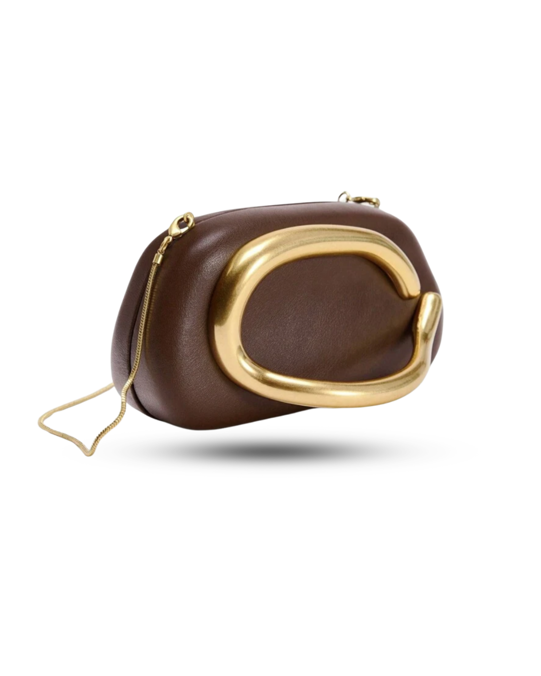 Shell Shaped Clutch