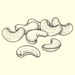 Regular Plus Cashews