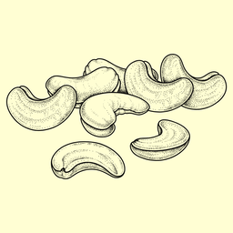Regular Cashews
