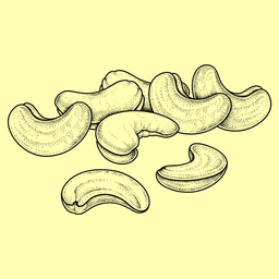 Economy Cashews