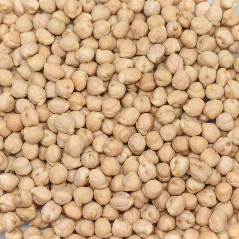 Turkish chickpeas حمص تركي