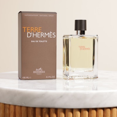 Hermès Terre D'Hermès EDT For Men | 100ml