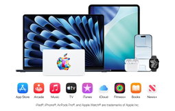 Apple Gift Cards [Digital Code]