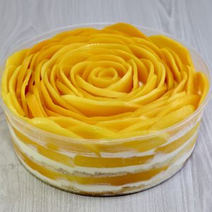 Mango Trifle_0