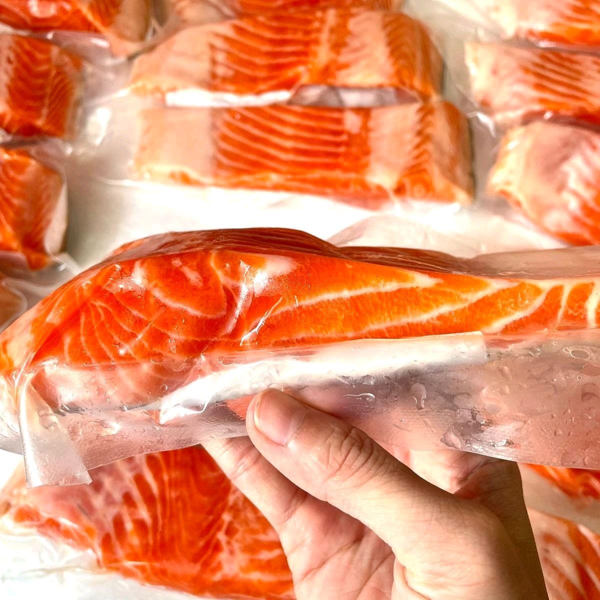 Fresh Salmon Trout  - Sashimi Grade 250gr_3