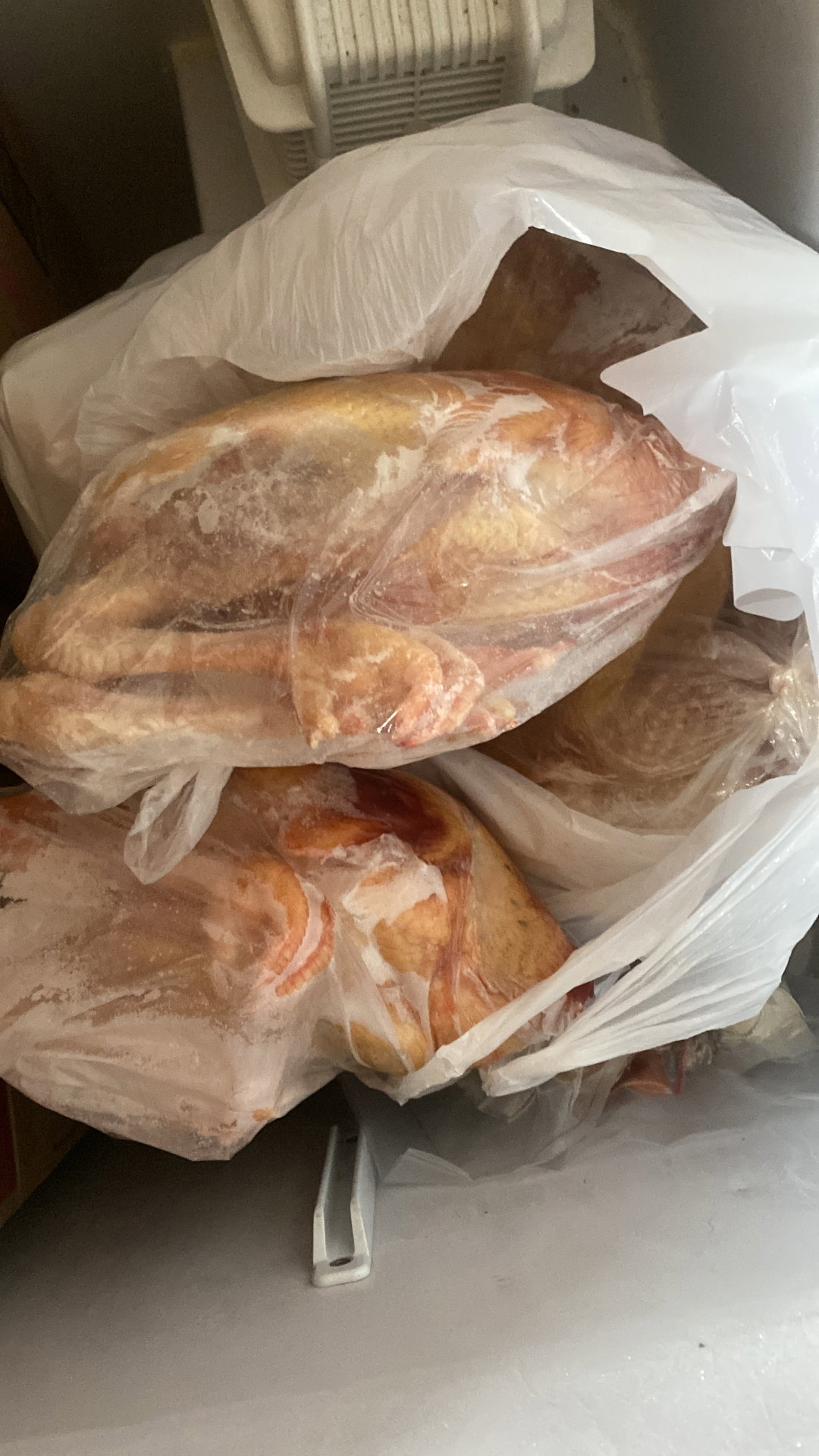 Ayam kampung utuh
