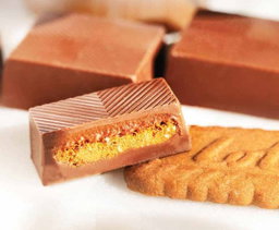 Luxury Chocolate Crunchy Lotus Squares - H0064