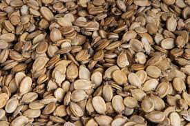 Palestinian Seeds_0