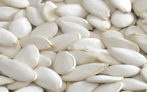 Salted White Pumpkin Seeds_0