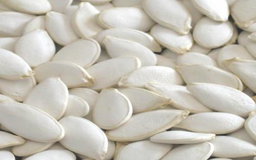Salted White Pumpkin Seeds